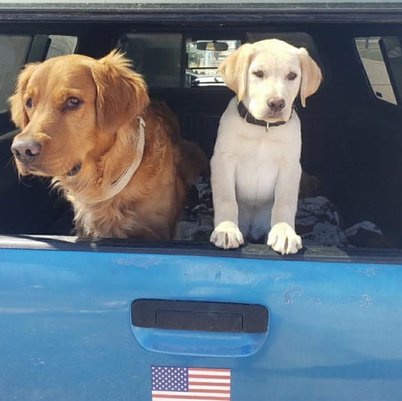 Meet your Posher, Kelly - Picture 3 of 3